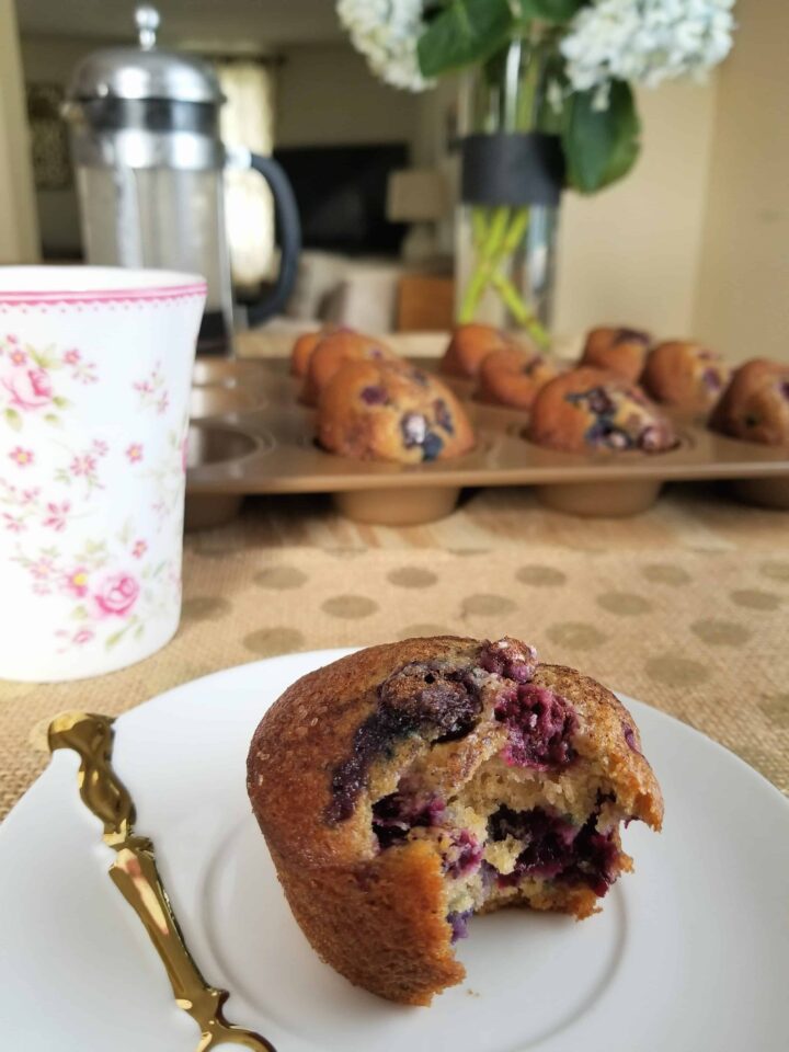 Blueberry muffin with a bite taken out